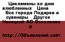 Цикламены ко дню влюбленных › Цена ­ 180 - Все города Подарки и сувениры » Другое   . Ненецкий АО,Осколково д.